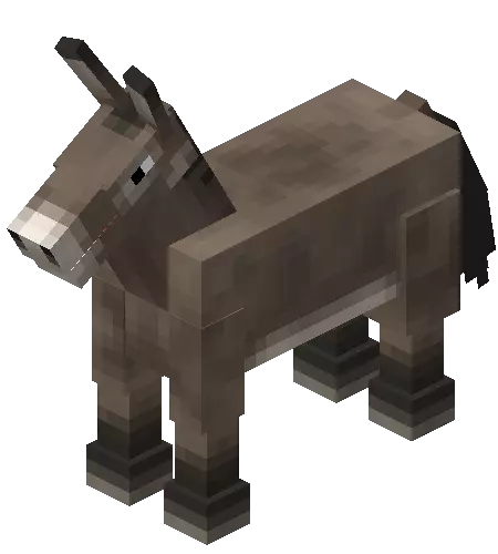 Item - Jay the Donkey